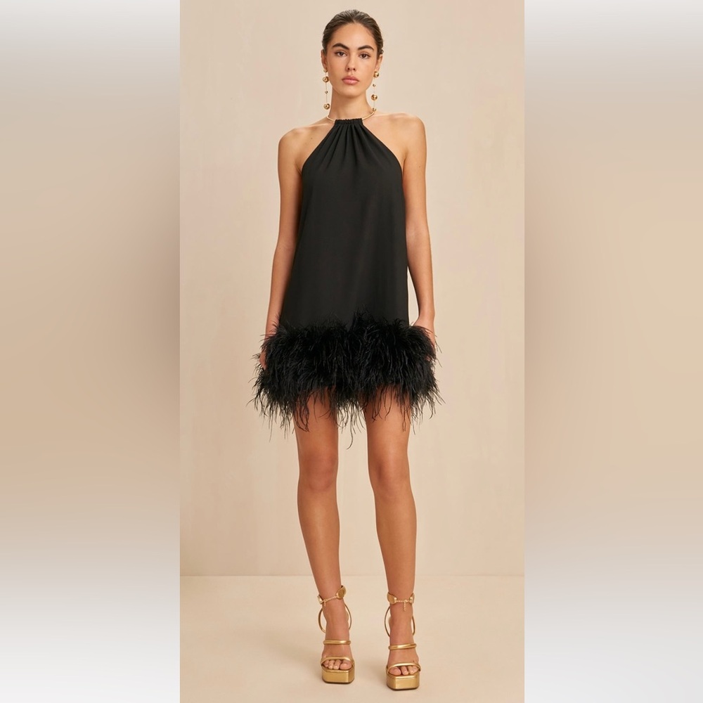 CULT GAIA REEVES FEATHER DRESS IN BLACK NWOT